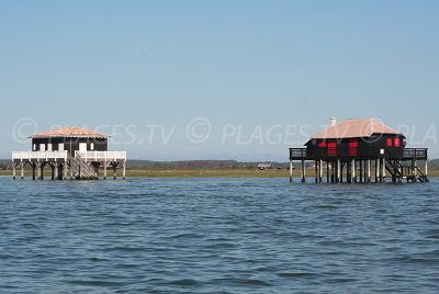 Cabanes sur pilotis dans le bassin d'Arcachon