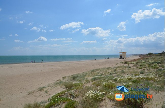 Les Cabanes de Fleury - une vaste plage sauvage