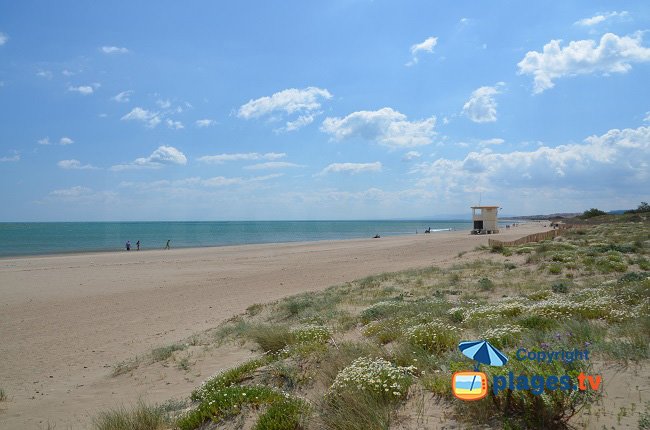 Cabane de Fleury - La plage