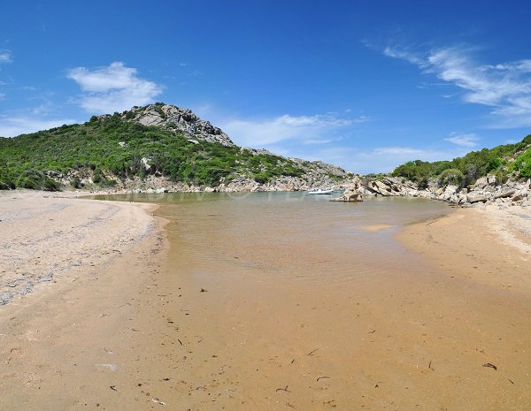 Foto della spiaggia Agulia in Corsica