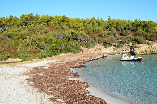 Plage d'Alga Putrica en Corse (désert des Agriates)