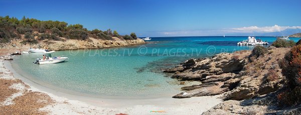 Cala Alga Putrica in Corsica