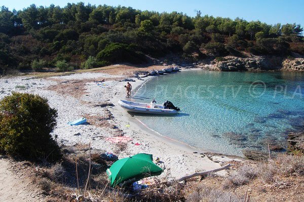 Cala Alga Putrica in Ghignu in desert of Agriates - Corsica