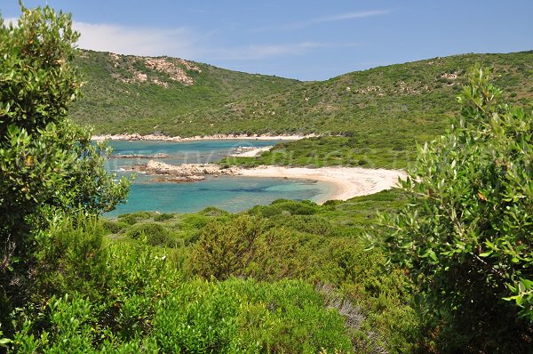 Foto spiagge della Cala d'Arana in Corsica (Sartène)