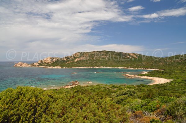 Photo de la Cala d'Arana en Corse