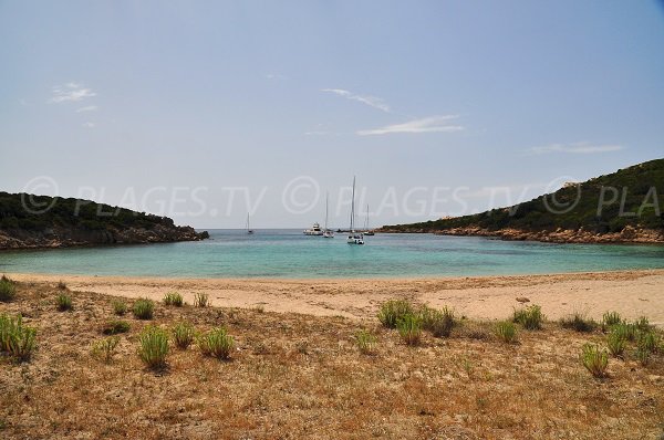 Cala di Conca - Sartène