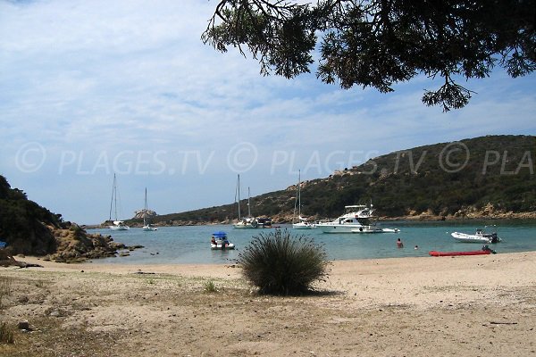 Photo of the cala of Conca in Sartène with boats