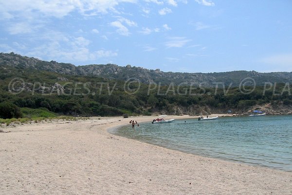 Confidential beach in  Sartène - Calanque of Conca