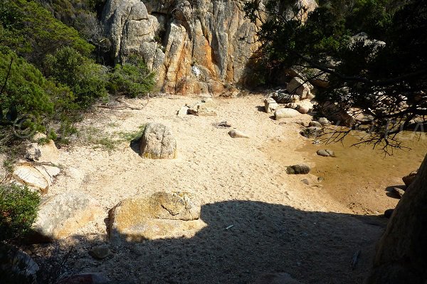 Photo of Cala Genovese in Bonifacio in Corsica