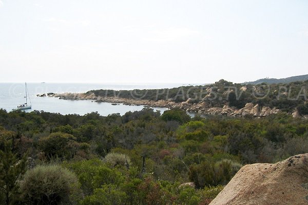 Cala Longa di Sartène - Corsica