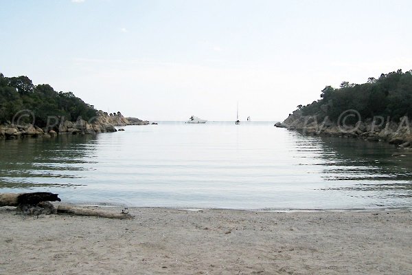 Foto della spiaggia Cala Longa a Sartène - Corsica