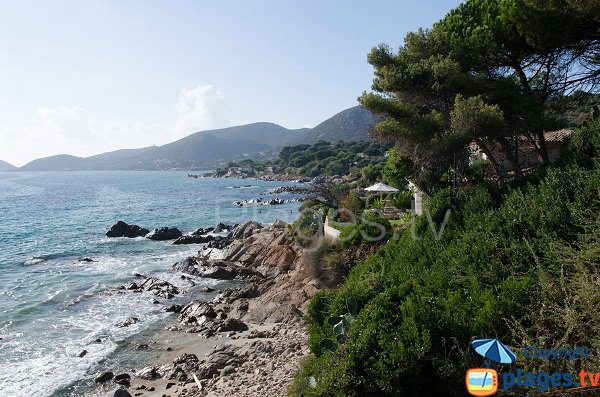 Costa - spiaggia della Calanque - Ajaccio