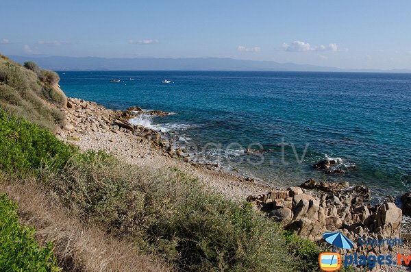 Littoral autour de la Calanque côté Stella di Mare - Ajaccio