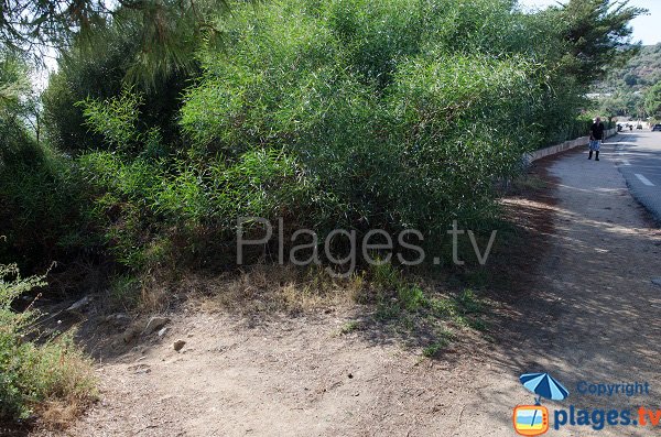 Chemin d'accès à la calanque