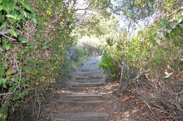 Stairs of the Calanque Aurelle in Agay