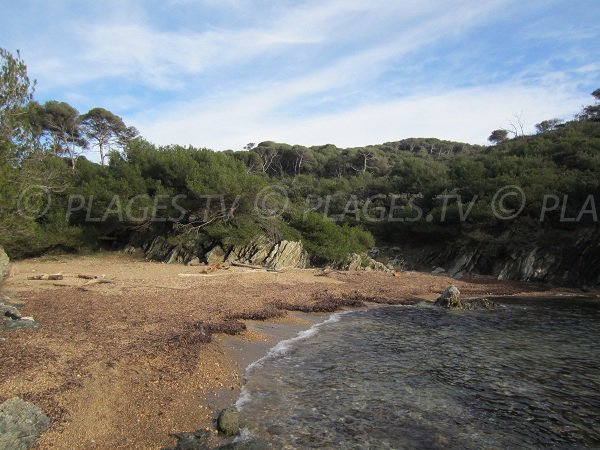 Wild Calanque in Porquerolles