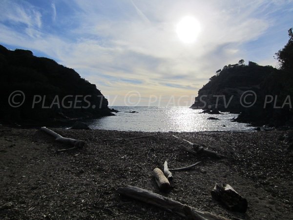 Calanque in the south of Porquerolles