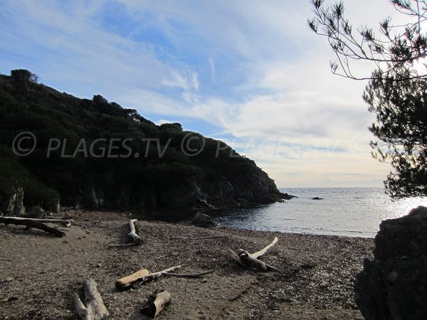 Calanque sauvage de Porquerolles