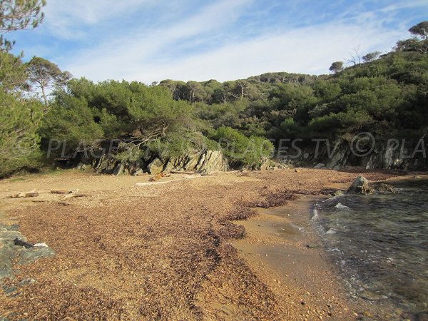 Calanque del Brégançonnet a Porquerolles - Francia