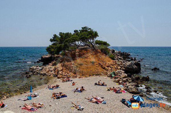 Foto della calanque del Capélan a Bandol - Francia