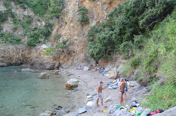 Photo of the beach in Cron calanque in Cavalaire sur Mer