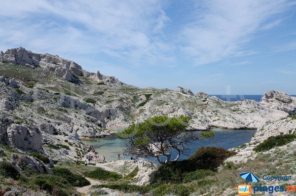 Calanque de la Crine à Frioul