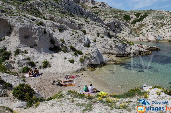 Crine creek in Frioul in France