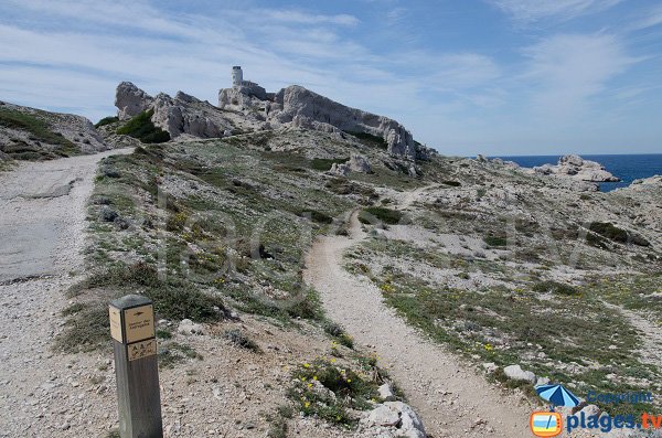 Sentier des Astragales - Frioul