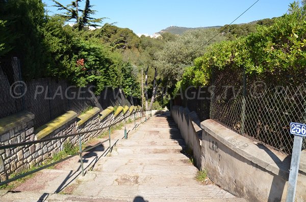 Treppen der Calanque Figuerolles