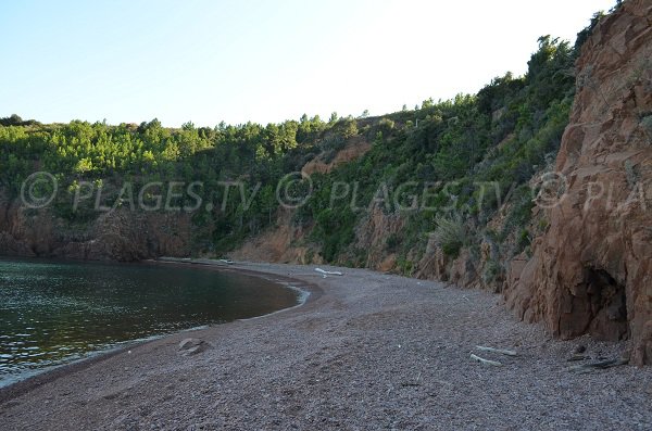 Environnement de la calanque de Maubois