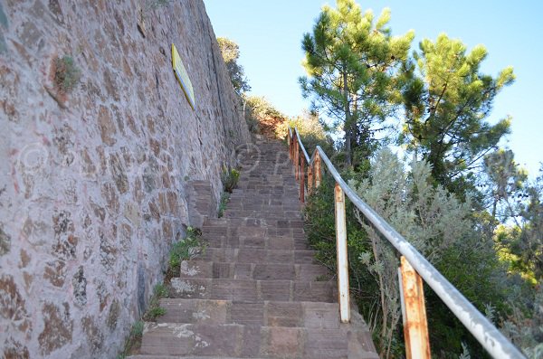 Escaliers pour accéder à la calanque de Maubois