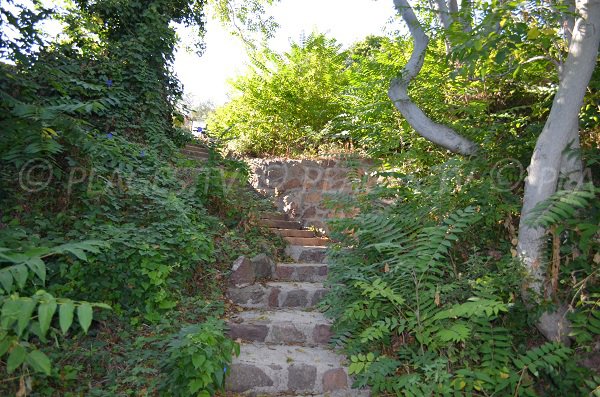 Escaliers pour accéder à la calanque du Maupas