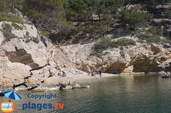 Photo de la plage dans la calanque de Morgiou