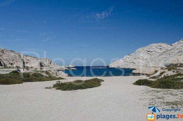 Calanque of Morgiret in Frioul in Marseille