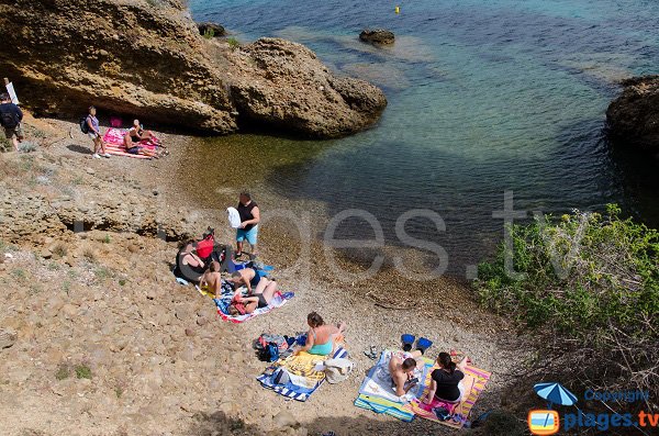 Plage sur l'ile verte à proximité du port