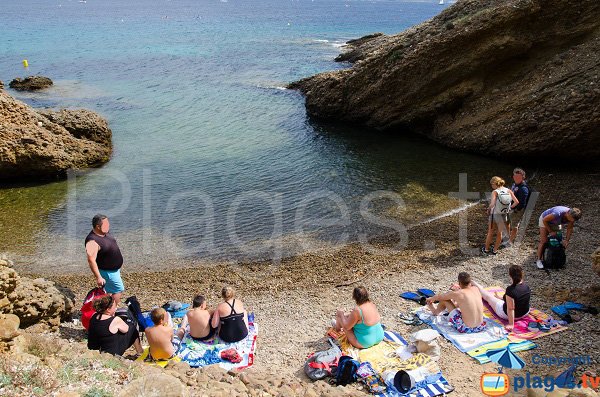 Plage de galets sur l'ile Verte - Plageolle