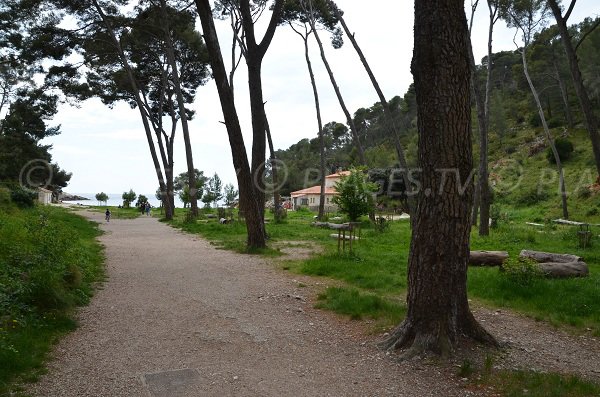 Percorso per la spiaggia di Port d'Alon