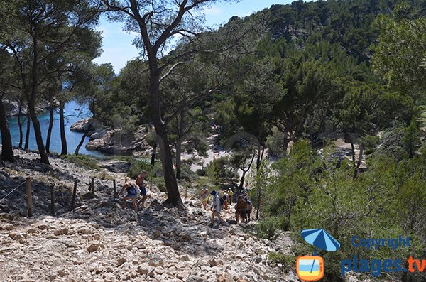  L'accesso della calanque di Port Pin