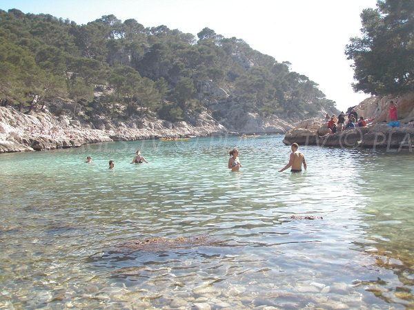 Swimming in the calanque of Port Pin in Marseille