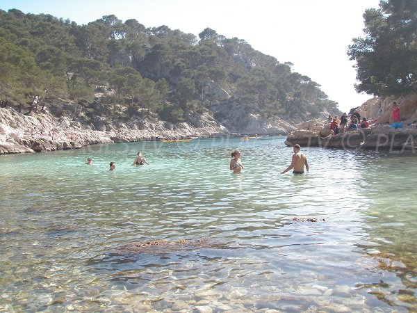 Baignade dans la calanque port-pin Marseille