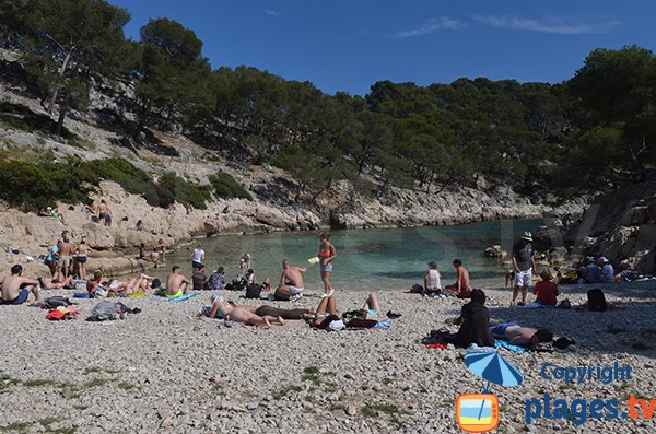 Beach in the calanque of Port Pin - France