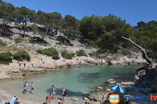 Calanque de Port Pin à Cassis