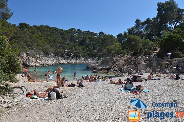 Photo de la plage dans la calanque de Port Pin à Cassis Marseille