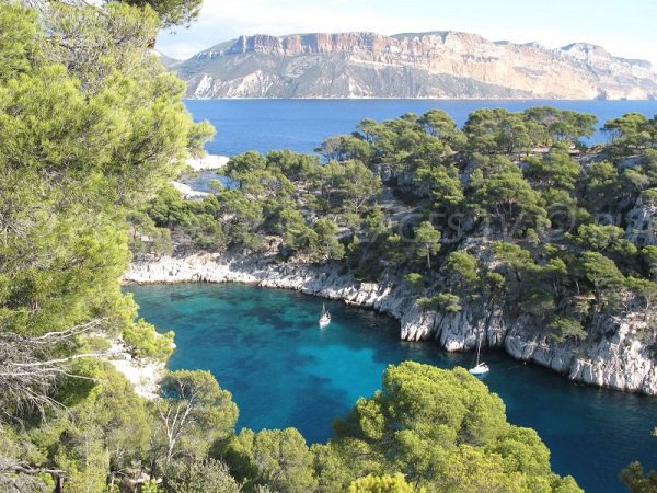 Calanque di Port Pin a Marsiglia - Francia