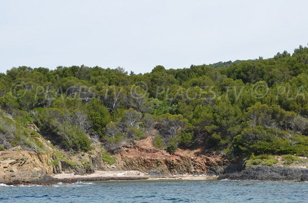 Port Qui Pisse beach in Bormes les Mimosas