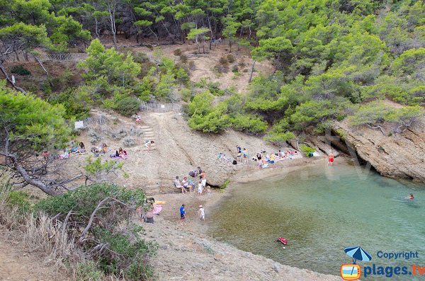 Plage dans la calanque de Seynerolles - Ile Verte