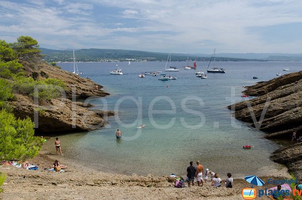 Baignade sur l'ile Verte