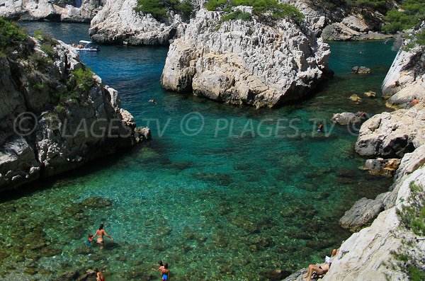 Baignade dans la calanque de Sugiton à Marseille