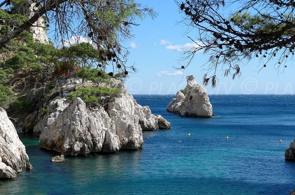 Rochers dans la calanque du Sugiton