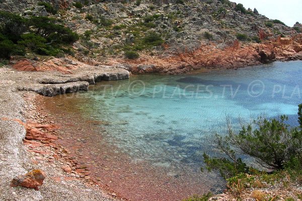 Foto calanque di Tavonata Bonifacio